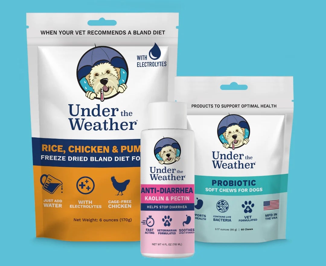 Food Export Trade Lead Creates Sales to China for Vermont Pet Supplement Supplier  